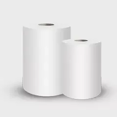 Apa mupangat nggunakake produk kertas sanitary?