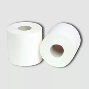 Toilet jamban rol