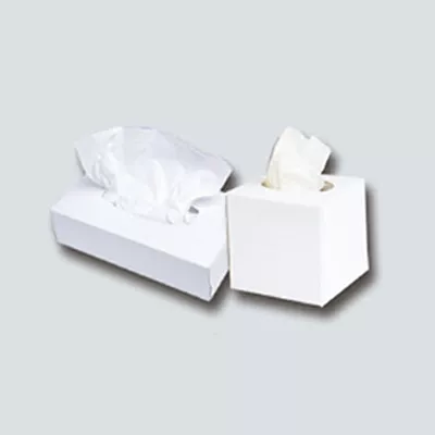 Tissue Fisiko Box